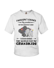 Family Elephant Grandkids Youth T-Shirt tile