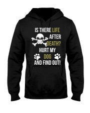 Is There Life After Death Hurt My Dog And Find Out Hooded Sweatshirt thumbnail
