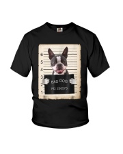 Boston terrier dog mug shot bad dog Shirt Youth T-Shirt tile