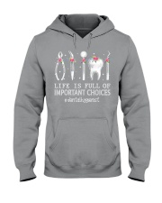 Dental Hygienist Hooded Sweatshirt tile