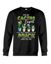 Cactus expert Crewneck Sweatshirt tile