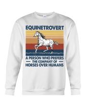 Equinettrovert Crewneck Sweatshirt tile