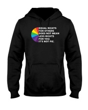 Equal Rights For Other Does Not Mean Less Rights Hooded Sweatshirt tile