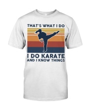 I Do Karate And I Know Things - Retro Premium Fit Mens Tee tile