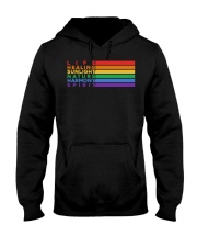 Pride Flag Meaning Hooded Sweatshirt tile