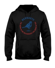 Bernaste The Bern In Me Recognizes The Bern In You Hooded Sweatshirt tile