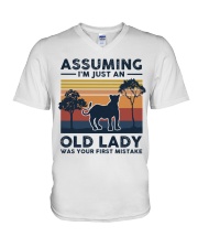 Assuming I'm Just An Old Lady - Lion V-Neck T-Shirt tile
