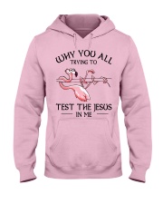 Flamingo- Why You All Trying To Test Hooded Sweatshirt front