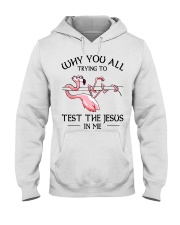 Flamingo- Why You All Trying To Test Hooded Sweatshirt tile