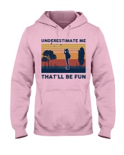 Underestimate Me That'll Be Fun - Bird Watching Hooded Sweatshirt front