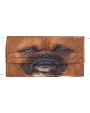 Amazing Boxer Cloth face mask front