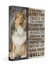 Collie - Before I met you 11x14 Gallery Wrapped Canvas Prints front