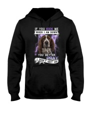English Springer Spaniel - Better pray I don't get Hooded Sweatshirt tile