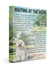 Waiting at the door - Bichons Frises 11x14 Gallery Wrapped Canvas Prints front