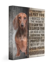 Brown Dachshund - Before I met you 11x14 Gallery Wrapped Canvas Prints front
