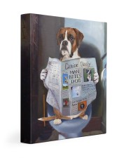 Boxer - Good morning 11x14 Gallery Wrapped Canvas Prints front
