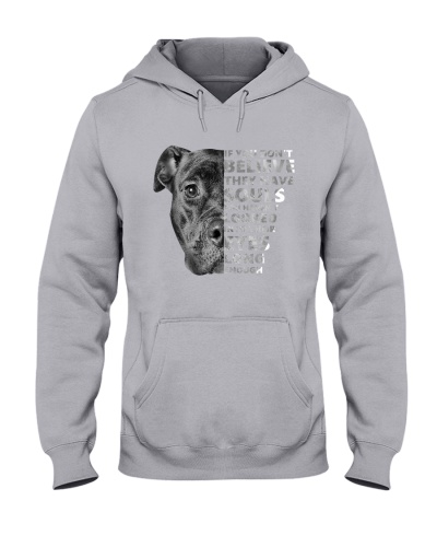 Soul - Pitbull Hooded Sweatshirt