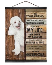 NOT SOLD ANYWHERE ELSE 16x20 Black Hanging Canvas thumbnail