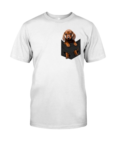 Dog In Pocket 