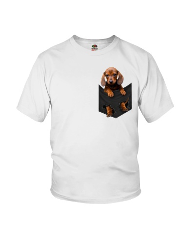 Dog In Pocket 