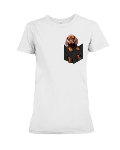 Dog In Pocket 