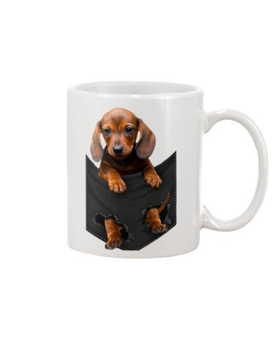 Dog In Pocket 