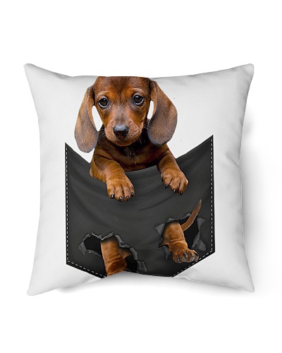 Dog In Pocket 