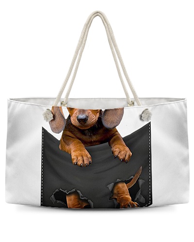 Dog In Pocket 