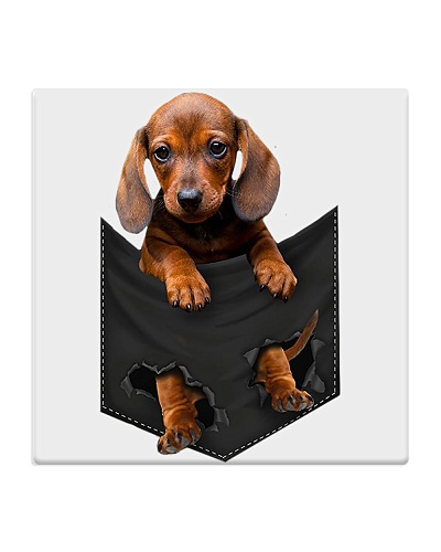 Dog In Pocket 