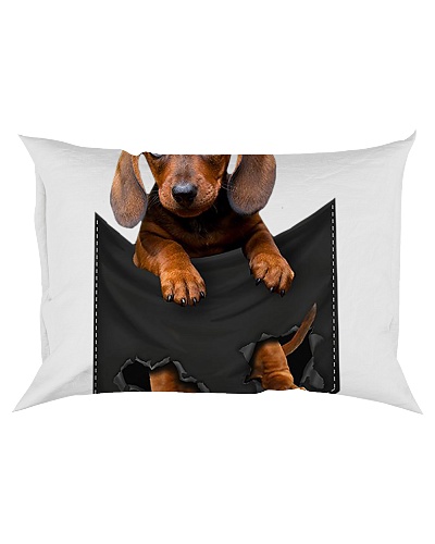 Dog In Pocket 