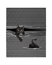 NOT SOLD ANYWHERE ELSE Quilt tile