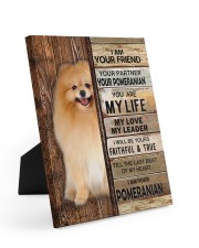 NOT SOLD ANYWHERE ELSE 8x10 Easel-Back Gallery Wrapped Canvas thumbnail