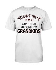 YOU'RE NOT MY GRANDKIDS Premium Fit Mens Tee tile