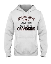 YOU'RE NOT MY GRANDKIDS Hooded Sweatshirt front