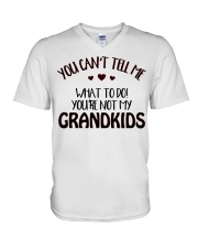 YOU'RE NOT MY GRANDKIDS V-Neck T-Shirt tile