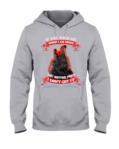 If You Kich Me Hooded Sweatshirt