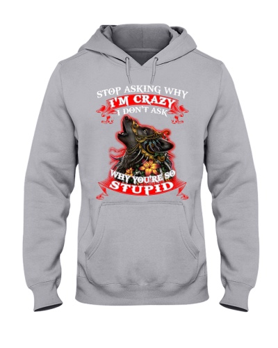 I'm Crazy Stupid Hooded Sweatshirt