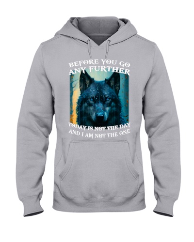 Before You Go Any Further Hooded Sweatshirt