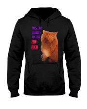This Cat Wants To Tax The Rich Shirt Hooded Sweatshirt thumbnail