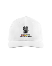 All Gave Some 58479 Gave All Vietnam Veteran Classic Hat front