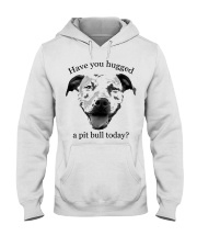 Bulldog Dog Have You Hugged A Pit Bull Today Hooded Sweatshirt front