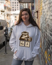 Sloth Chemistry Sloth Nap Pun Hooded Sweatshirt lifestyle-unisex-hoodie-front-1