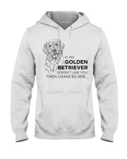 Golden Retriever Dog Doesn't Like You Hooded Sweatshirt front