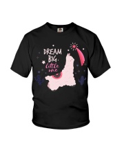 Llama Dream Big Little One Llama Youth T-Shirt tile