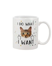 I Do What I Want Mug front