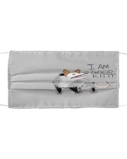 I am good kitty Cloth face mask front