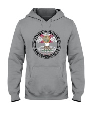 LIVING IN FLORIDA WITH CALIFORNIA ROOTS Hooded Sweatshirt thumbnail