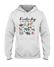 Kentucky Is Always Home Symbols Hooded Sweatshirt front