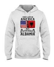 LIVE IN AMERICA BEGAN IN ALBANIA Hooded Sweatshirt tile