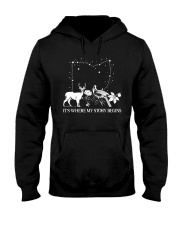Ohio It's Where My Story Begins Hooded Sweatshirt front